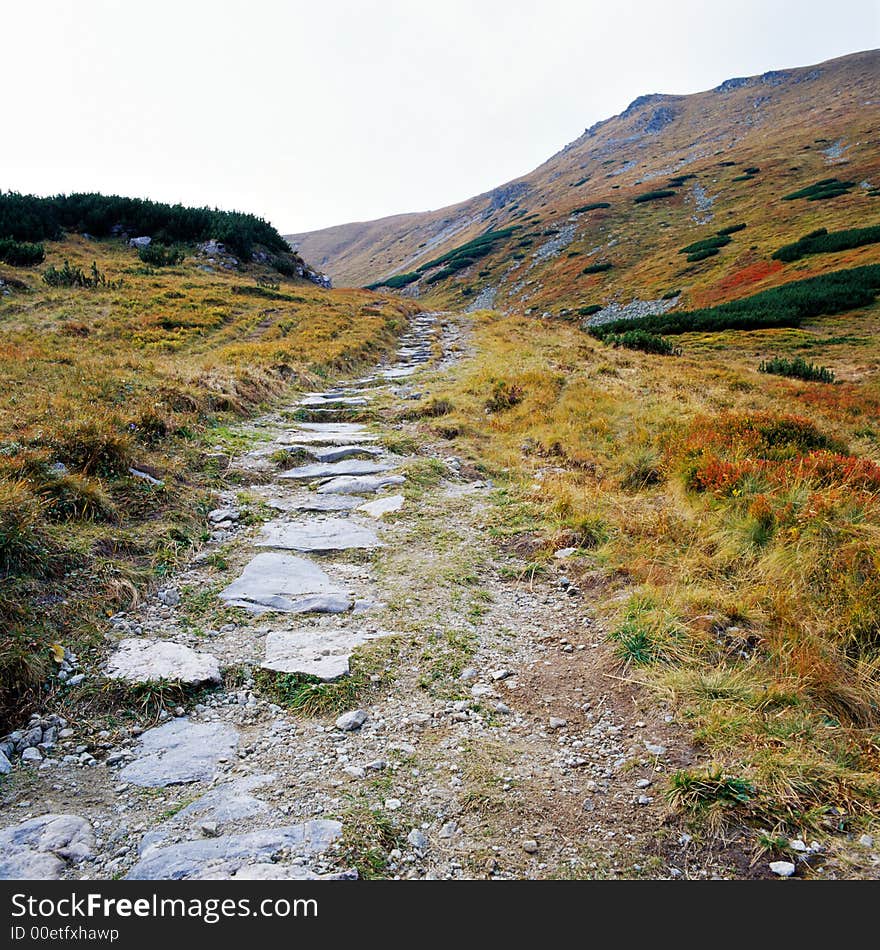 Tatry