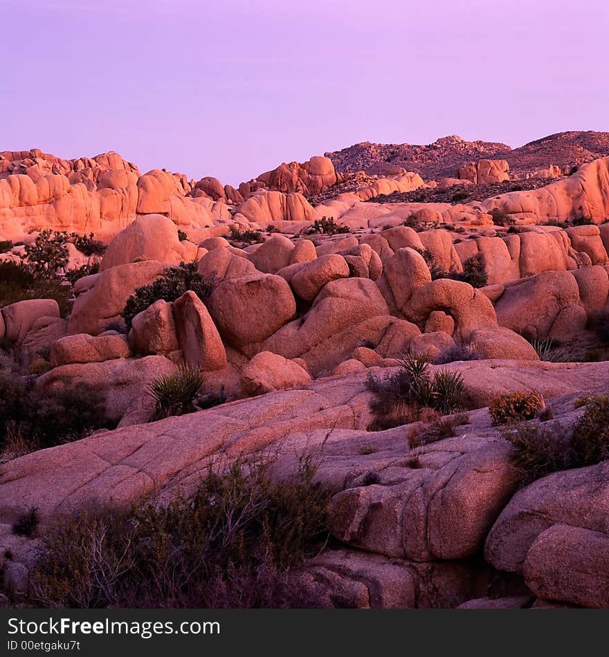 Joshua Tree National Park Sunset. Joshua Tree National Park Sunset