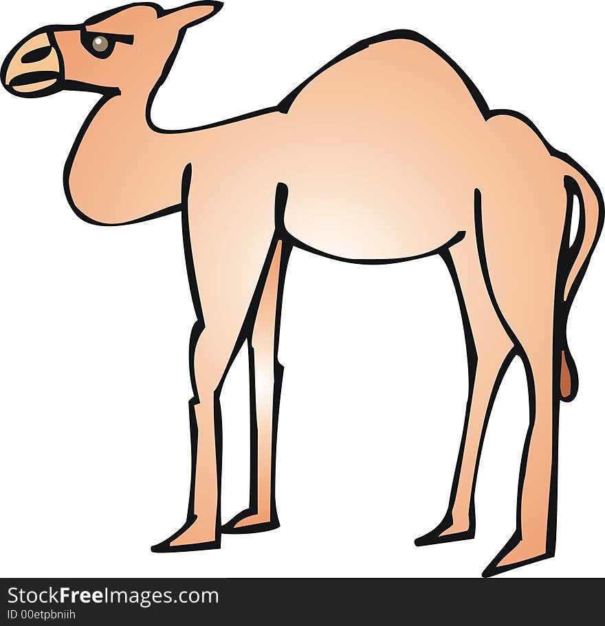 Art illustration of a dromedary