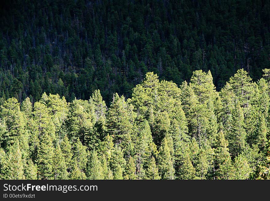 Storm clouds moving over a dense forest. Storm clouds moving over a dense forest.