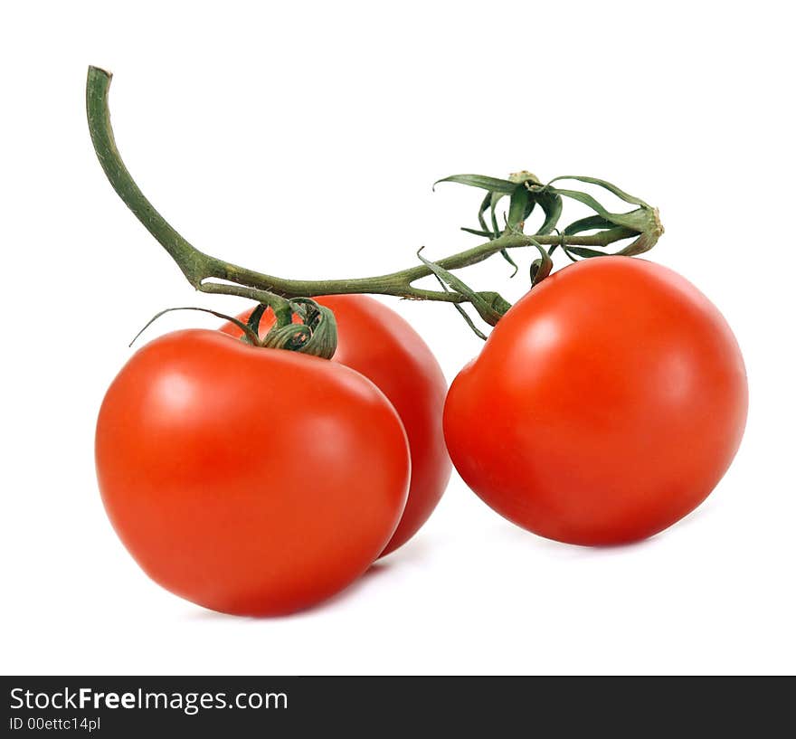 Two red tomatos isolated on white