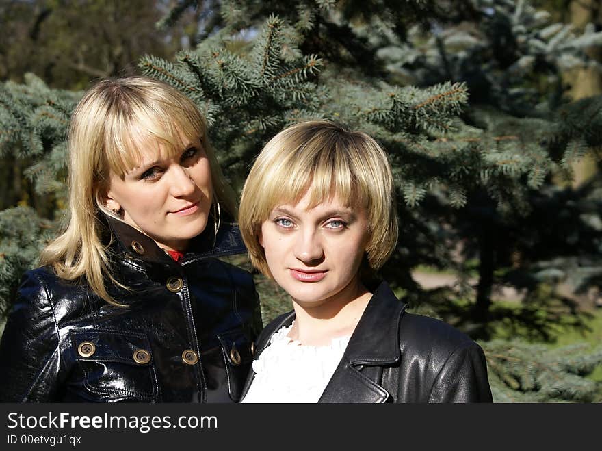 Portrait of sisters on a background of fur-trees. Portrait of sisters on a background of fur-trees