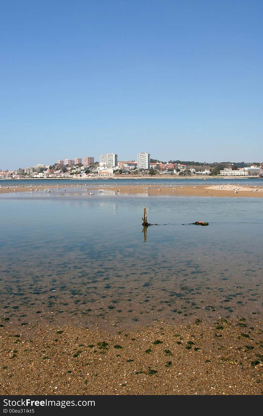 Oporto city view taken from a beach. Oporto city view taken from a beach