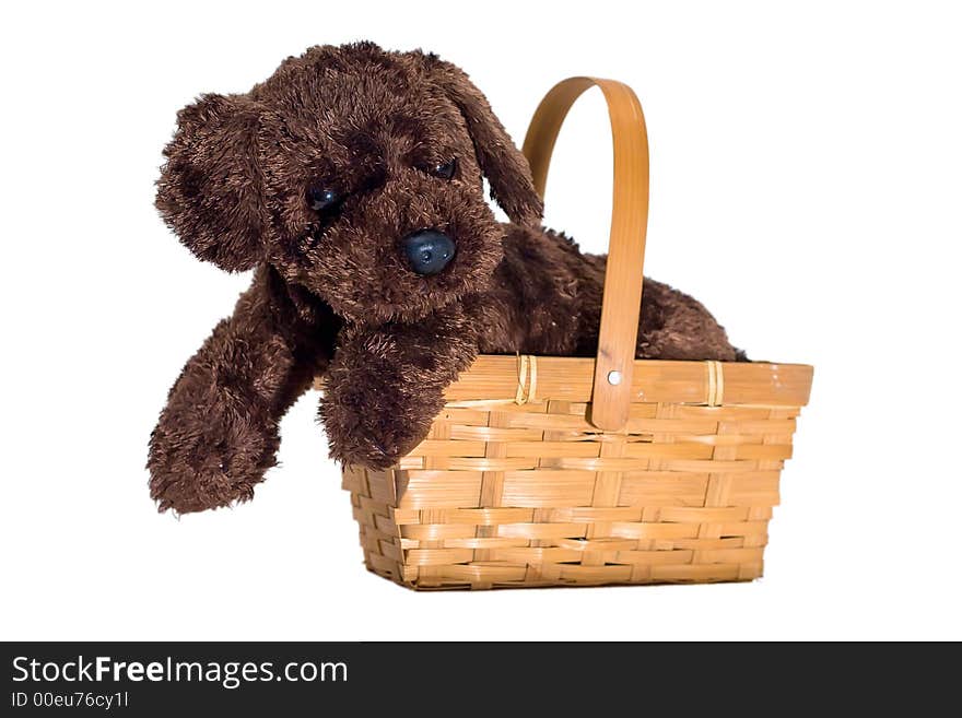 Isolated puppy in a wicker basket with a white background. Isolated puppy in a wicker basket with a white background