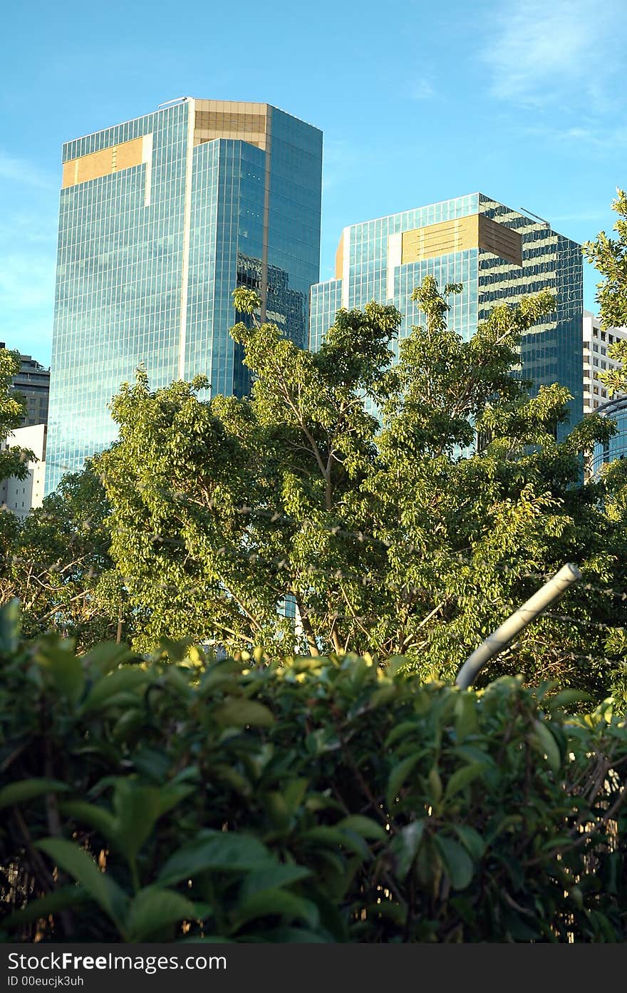 Blue glass skyscrapers, green trees in foreground,. Blue glass skyscrapers, green trees in foreground,