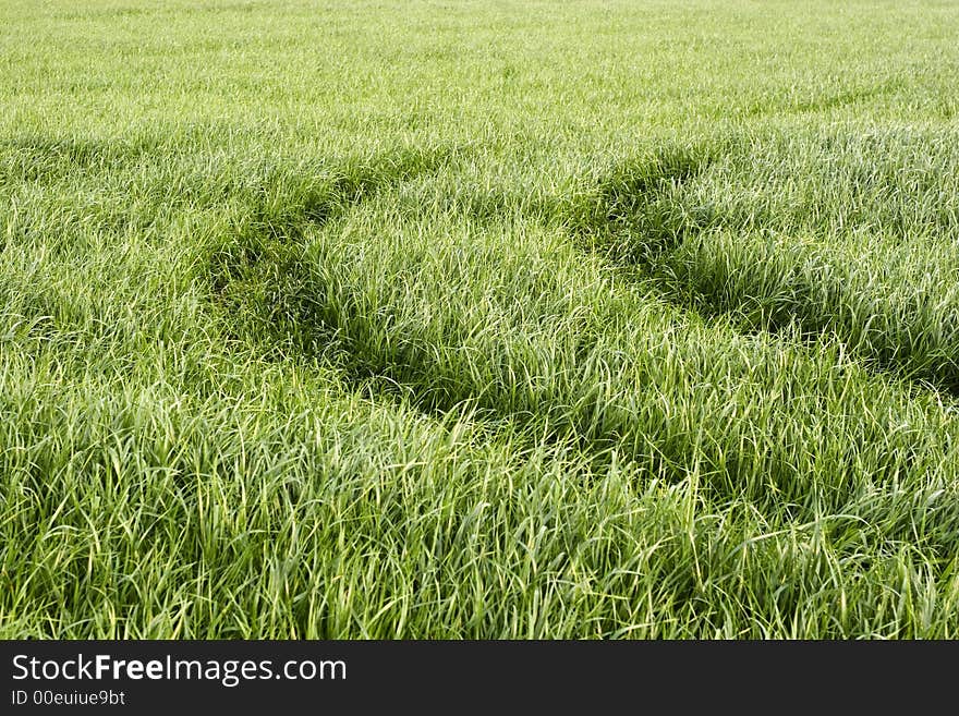 Crop tracks