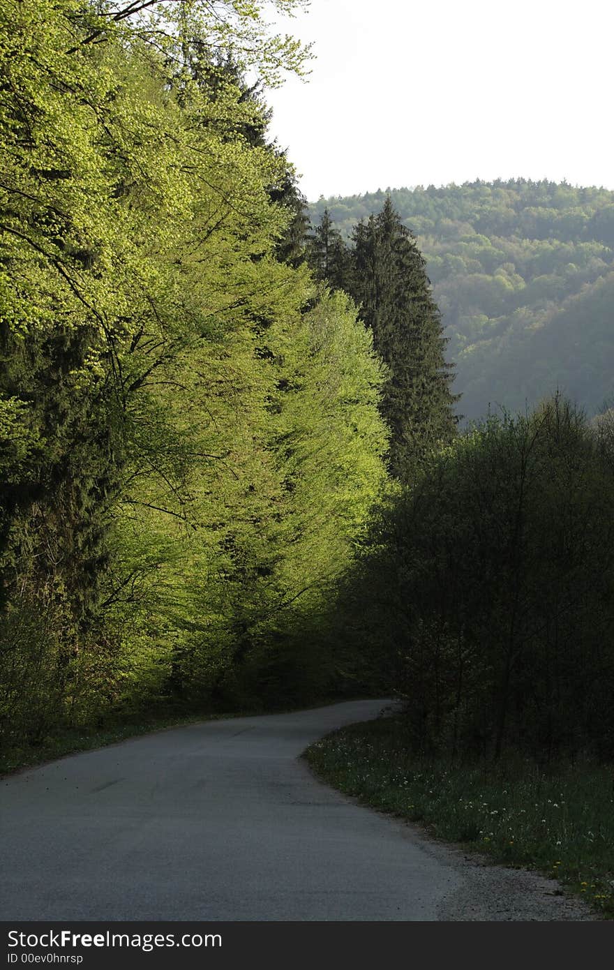 Road in mountain