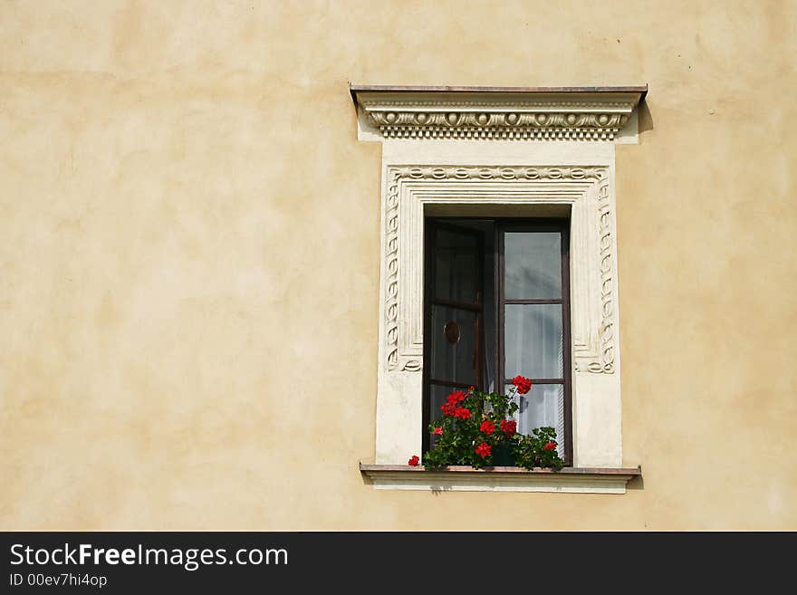 Flower window with beige background in Crakow, Poland