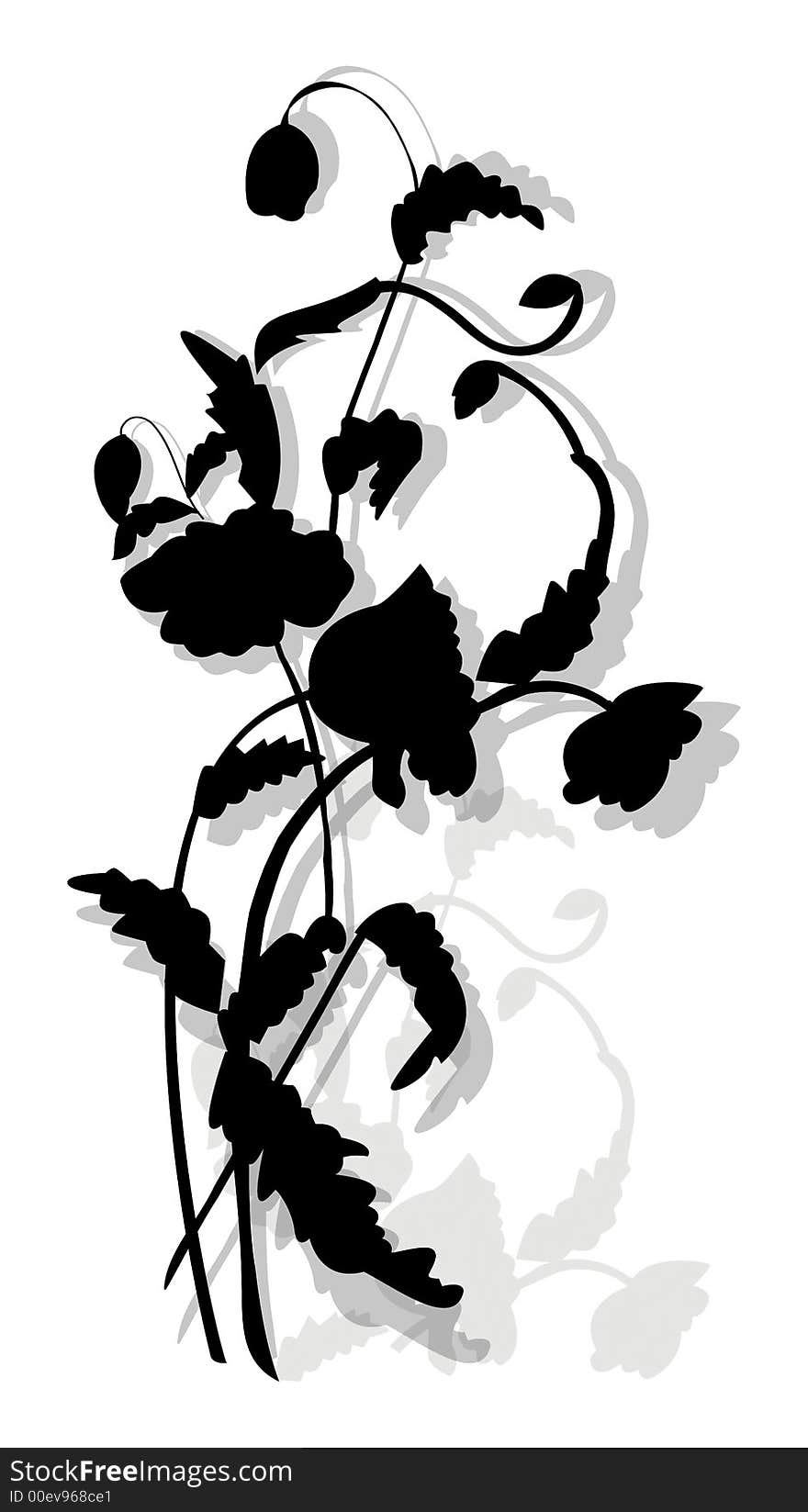 Illustration of Black-white Flowers