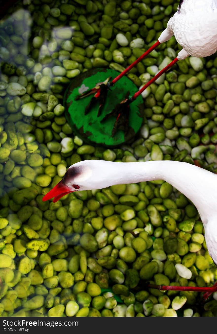 Birds in a pond with green pebbles