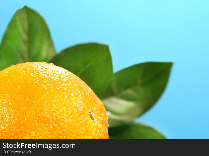 Orange with green leaves against a blue sky. Orange with green leaves against a blue sky