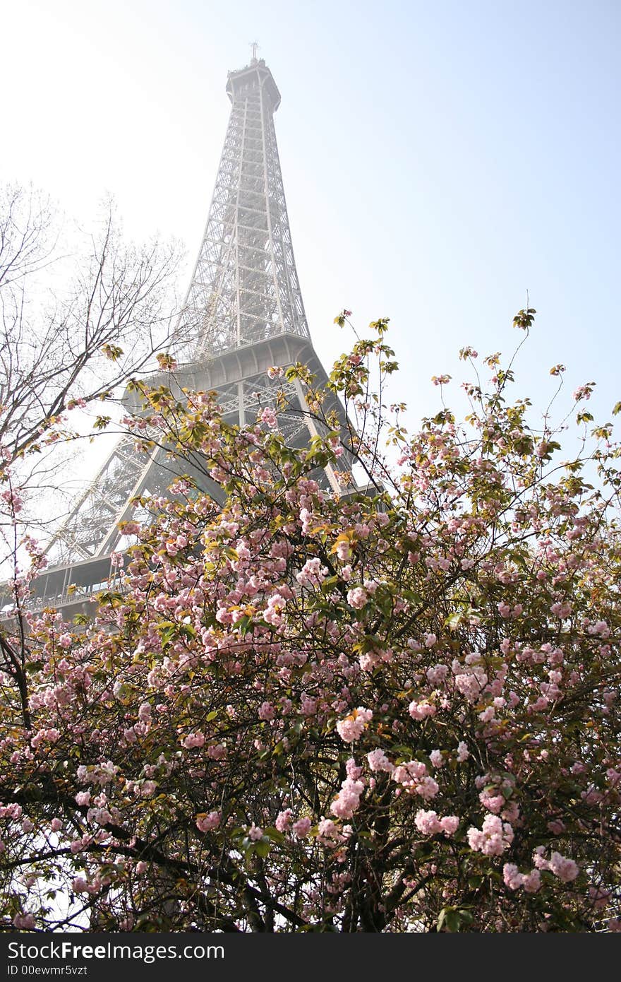 The Eiffel tower, Paris - 8