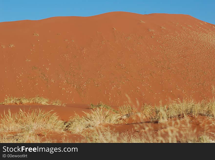 Large Sand Dune In Namibia