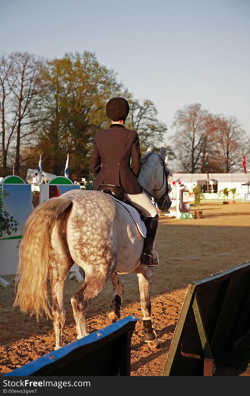 Girl and horse