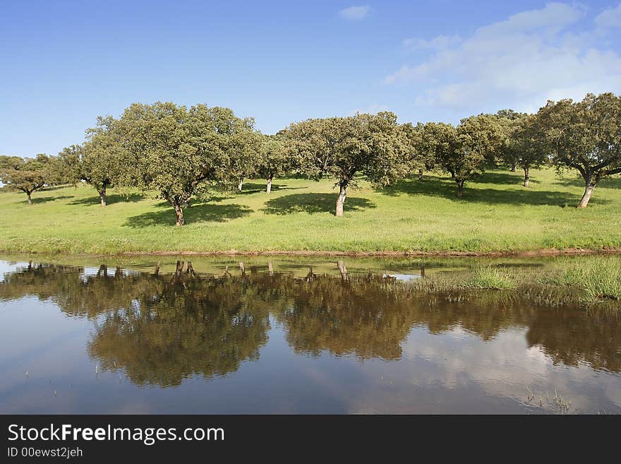 Landscape with trees reflected in the water. Landscape with trees reflected in the water