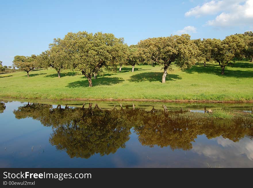 Reflecting river tree sky green. Reflecting river tree sky green