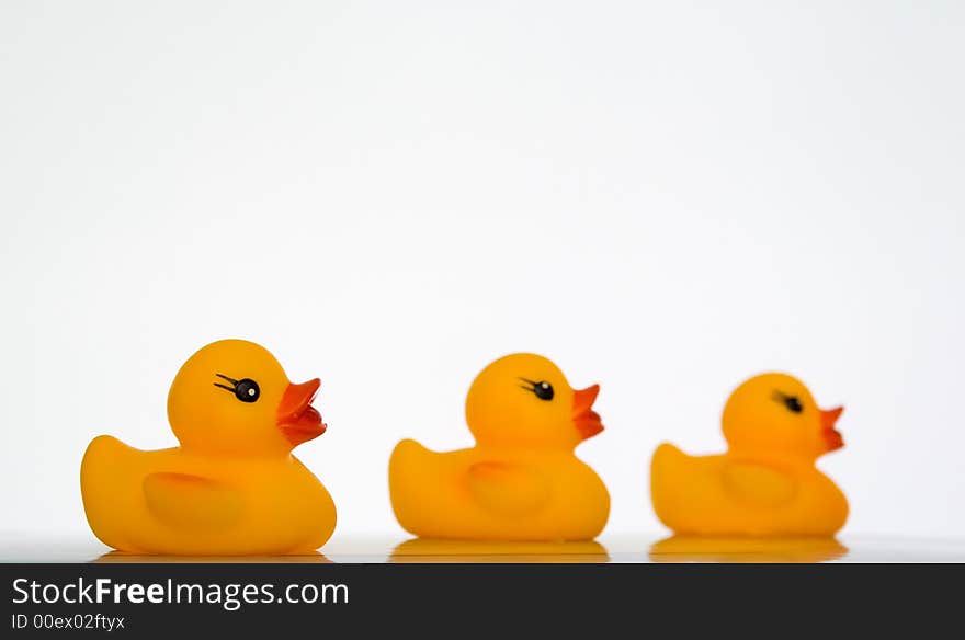 Three yellow ducklings on white background