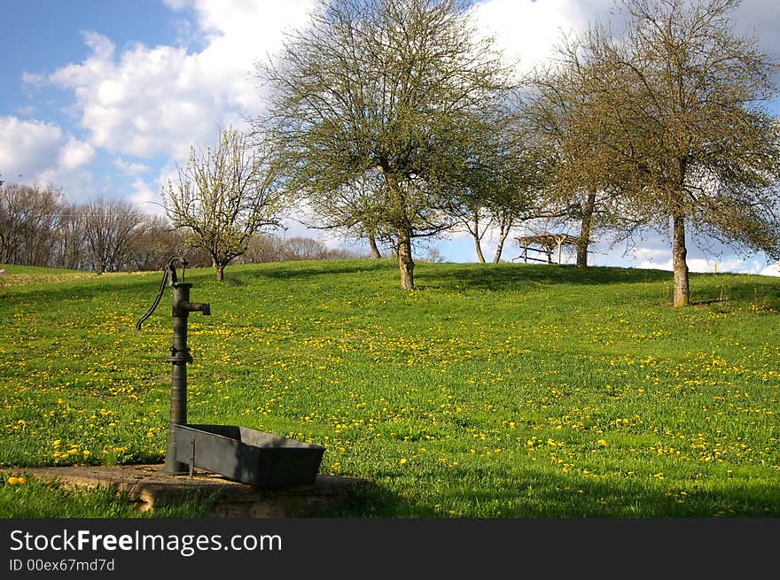 An outside water pump was a typical scene on most farms and rural homes in the 20th century. Many are still used today as a secondary source of water to irrigate gardens.