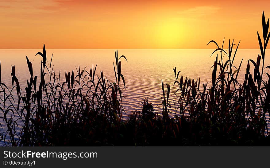 Water plants at sunset -  3D scene. Water plants at sunset -  3D scene.