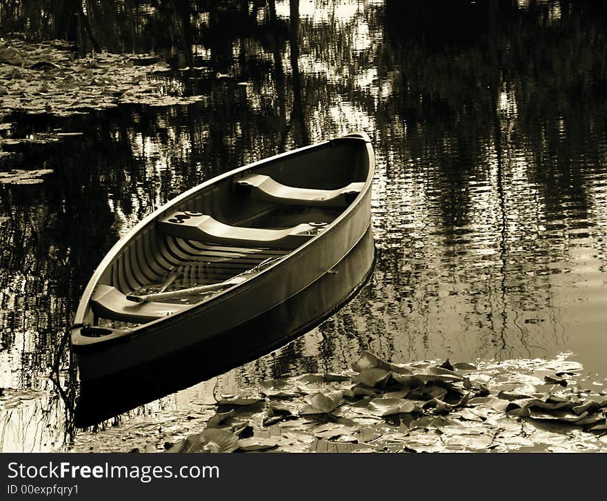 Canoe On Lily Pond