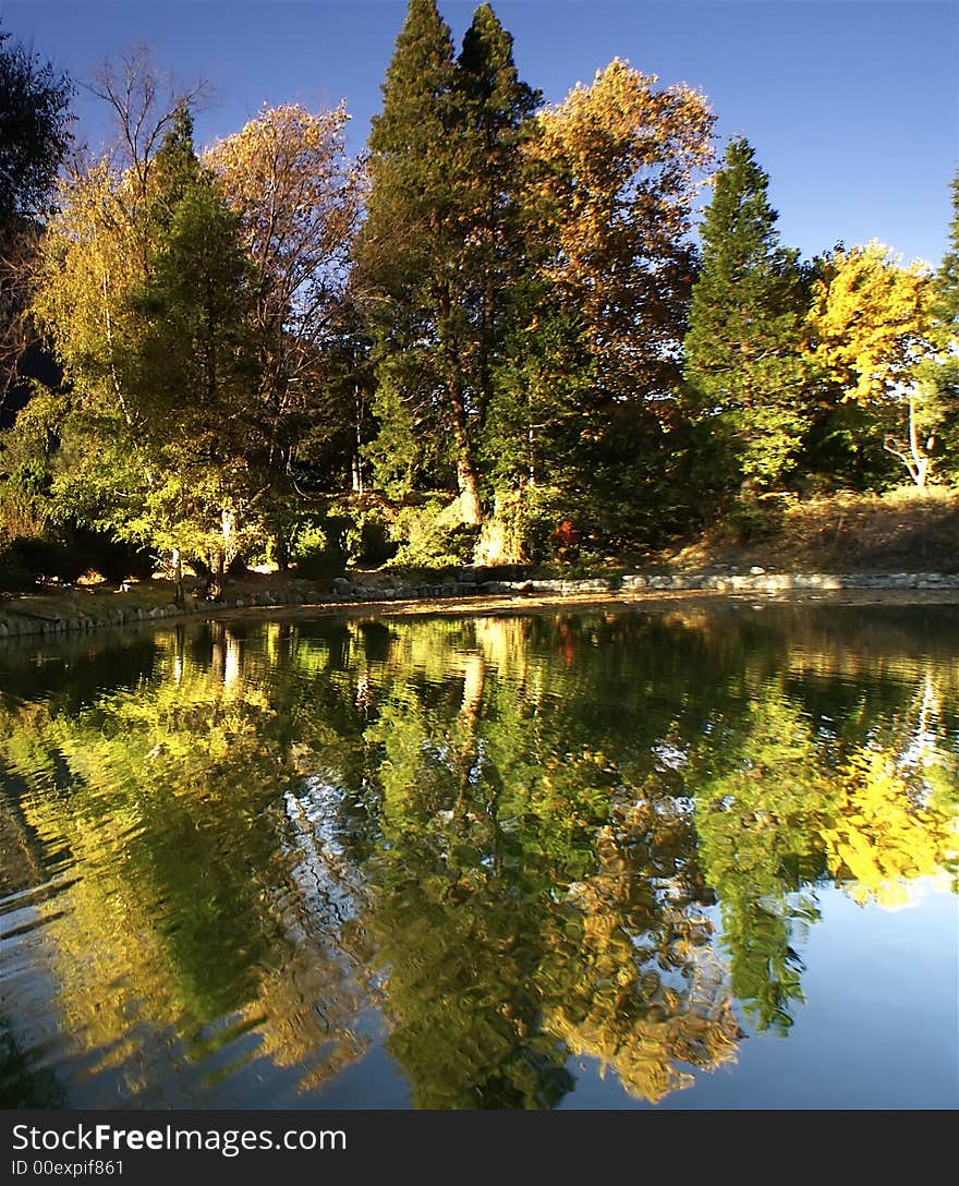 Reflection of autumn trees in a nearby lake. Reflection of autumn trees in a nearby lake