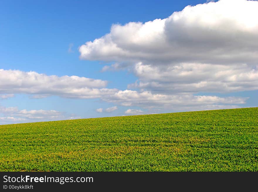 Photo of green field with blue, cloudy sky. Useful as background. Photo of green field with blue, cloudy sky. Useful as background