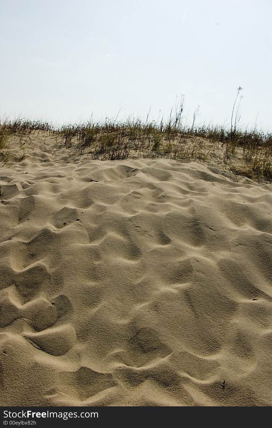 Windblown sand forms a pattern in the dunes at the seashore. Windblown sand forms a pattern in the dunes at the seashore