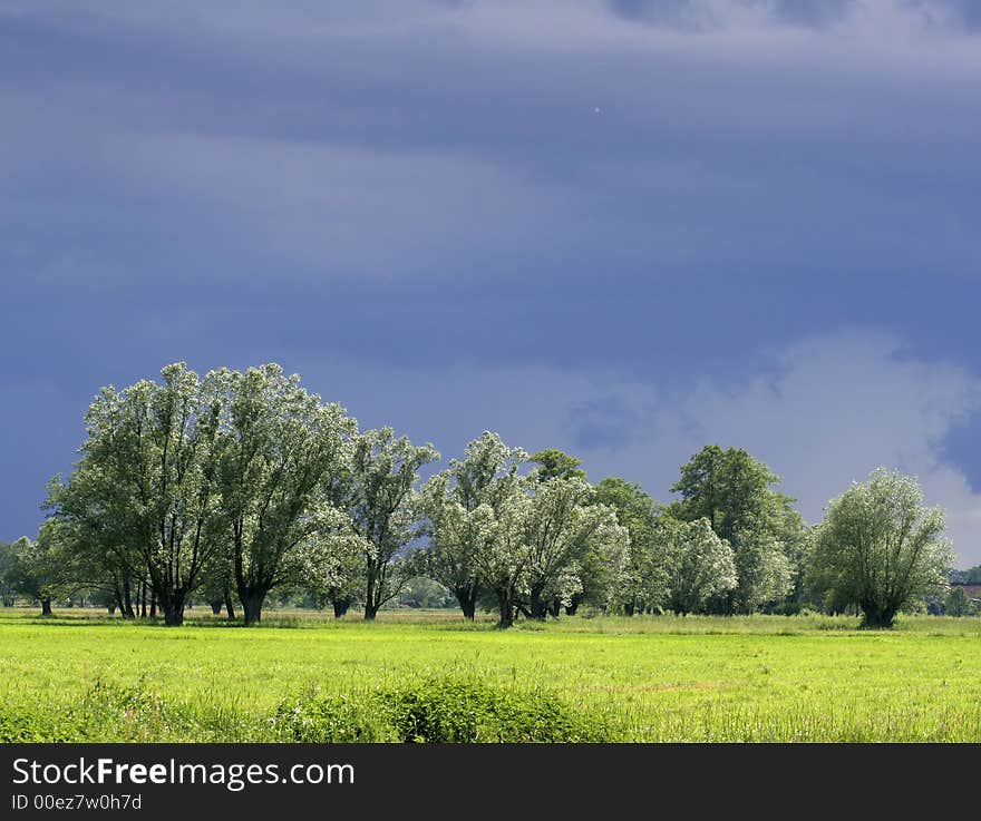 Meadow before lighting storm