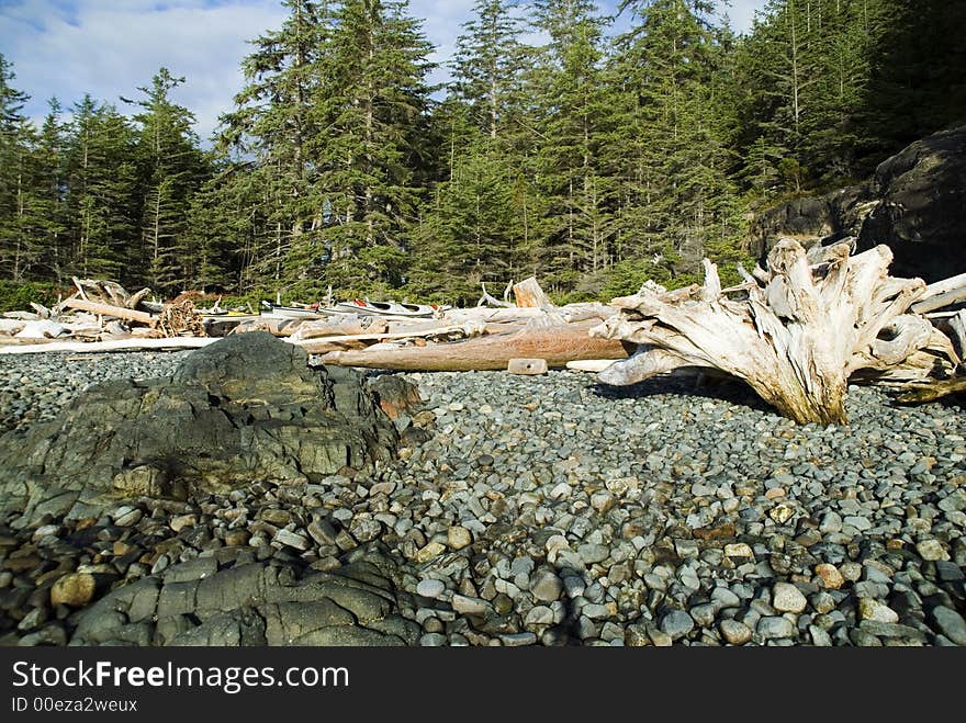 Image of the pebbled beach on hanson island in canada. Kayaks and dead woods lay on the beach.