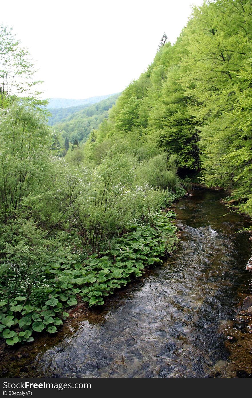 Green heart of Croatia - Kamacnik canyon in mountain district