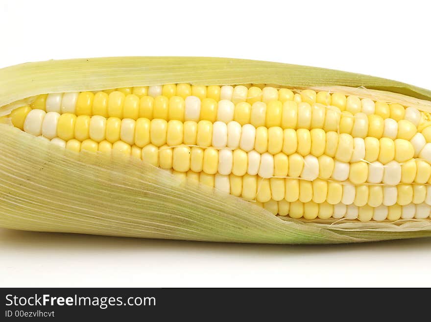 Ear Of Corn On White Upclose