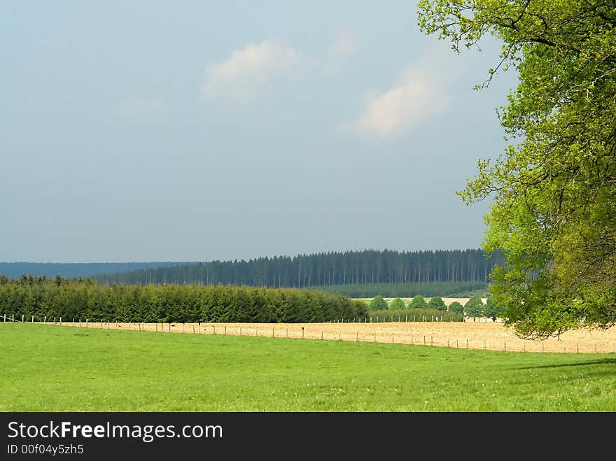 Summer landscape with piece of tree in foreground