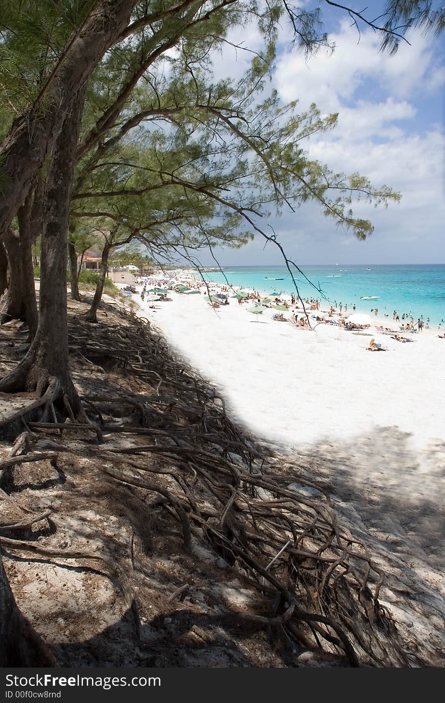 Bahamas Beach