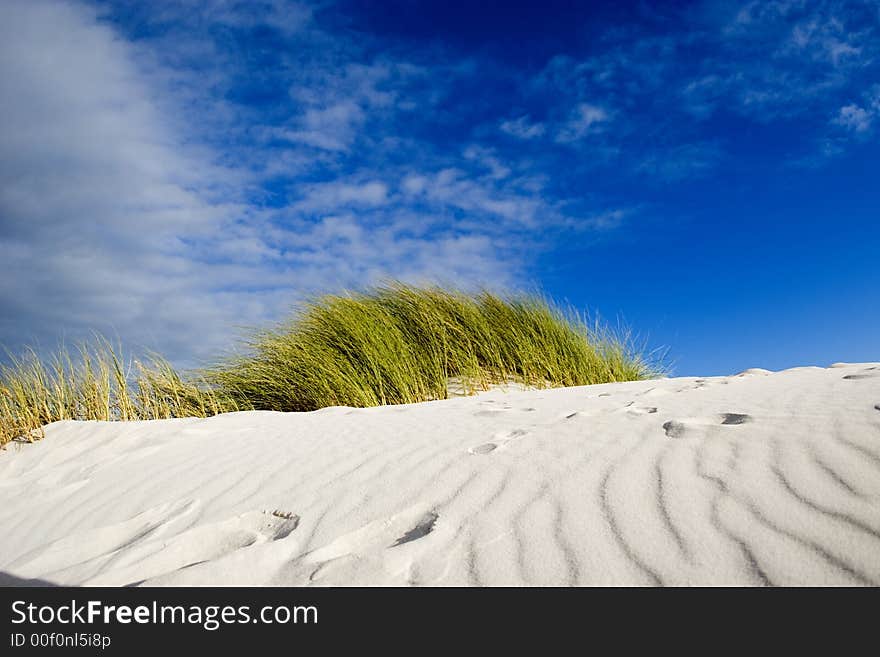 Betty's Bay sand dunes. Betty's Bay sand dunes.