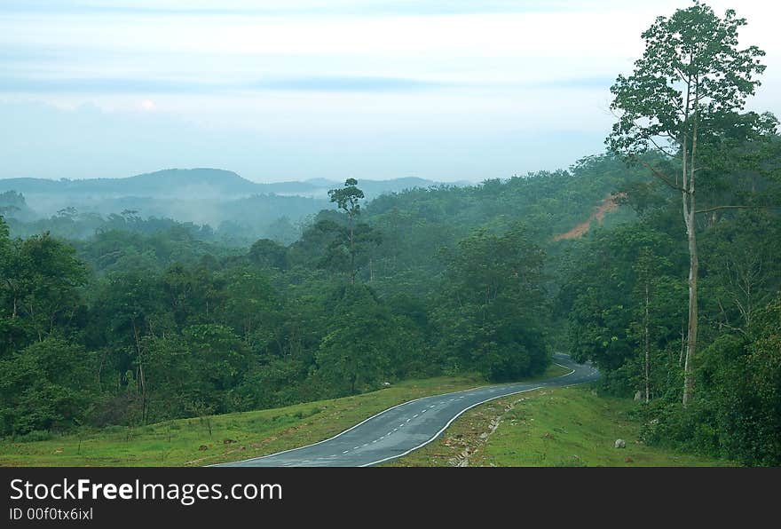 A road cut through forest in Malaysia showing narrow and gradient with greenery at the back. A road cut through forest in Malaysia showing narrow and gradient with greenery at the back