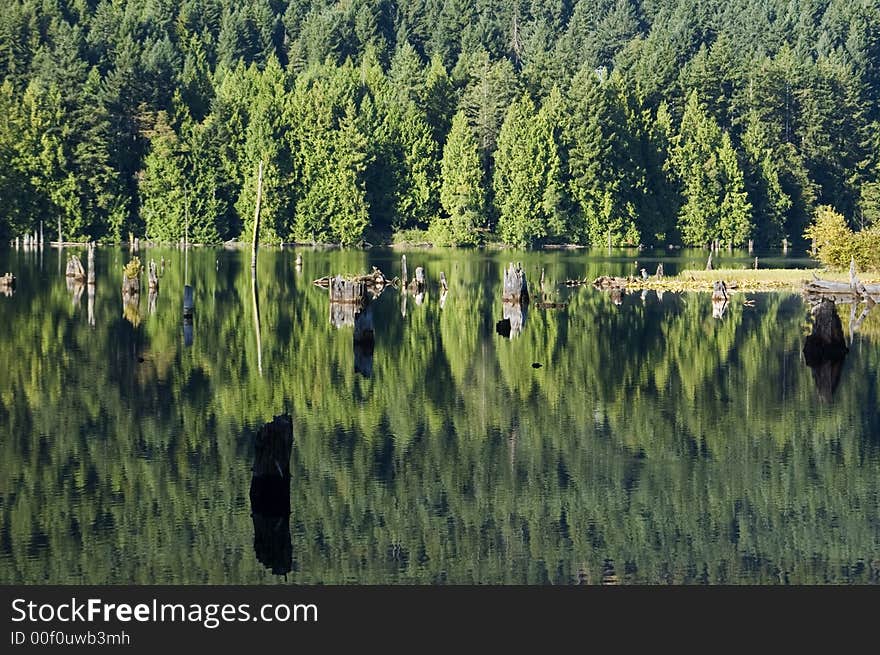 At a small lake on vancouver island the woods mirror in the lakes surface,. At a small lake on vancouver island the woods mirror in the lakes surface,