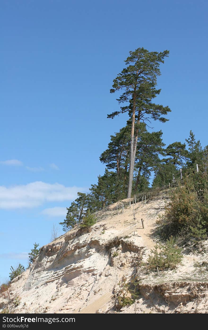 White Dune is one of the most beautiful dunes of its kind in Latvia with great sight to the coast of Baltic Sea (Vidzemes Seaside).