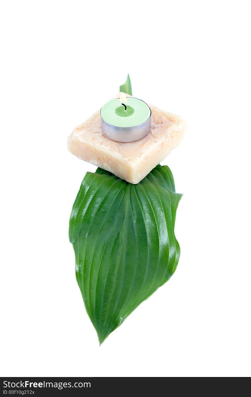 Green leaf, soap and candle