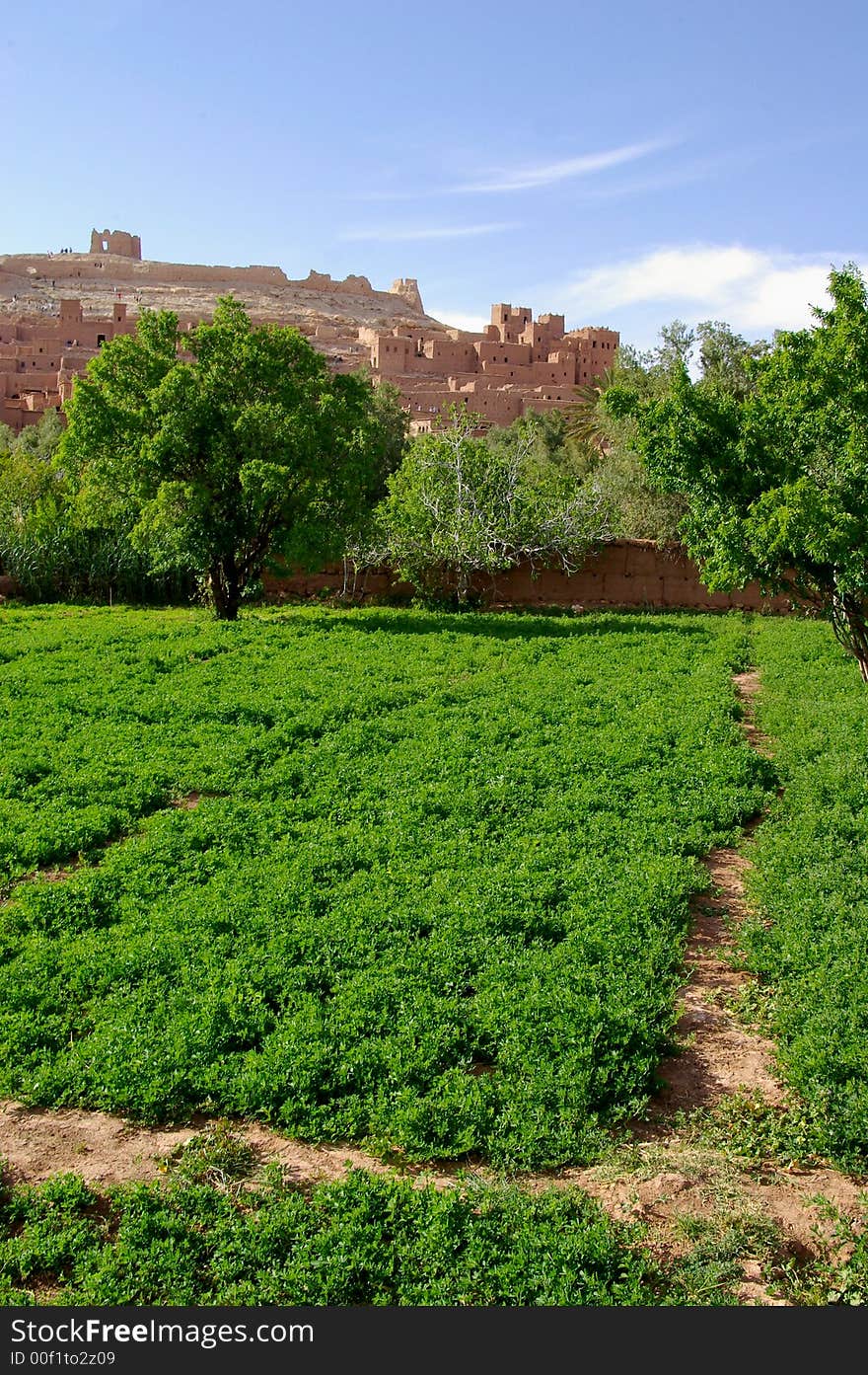 Ait Ben Haddou kasbah, the famous place where alot of films have been made. The gladiators is the most famous