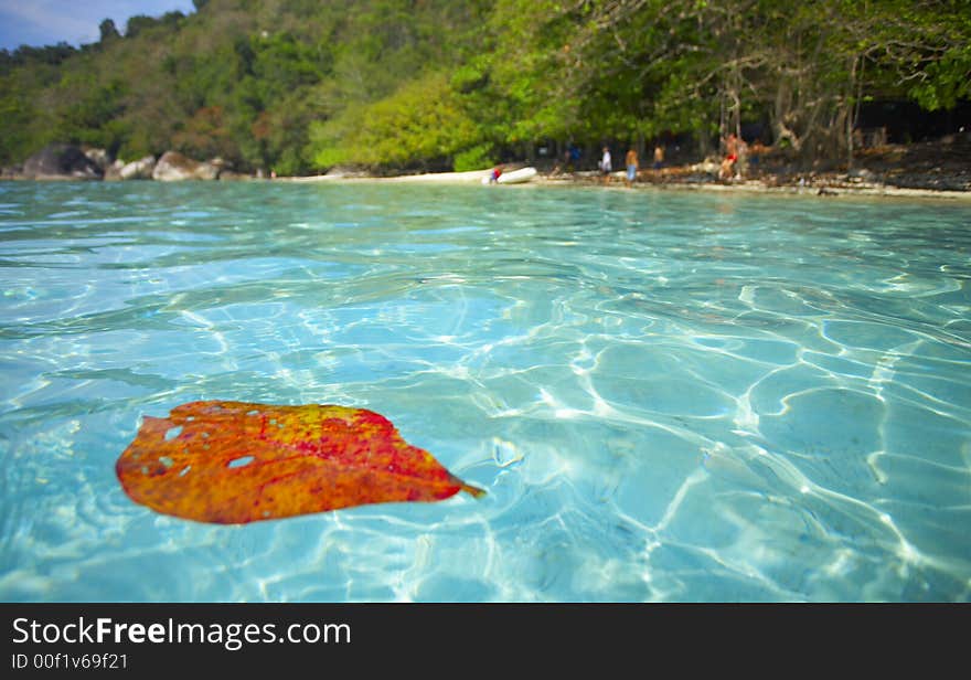 Tropical island beach