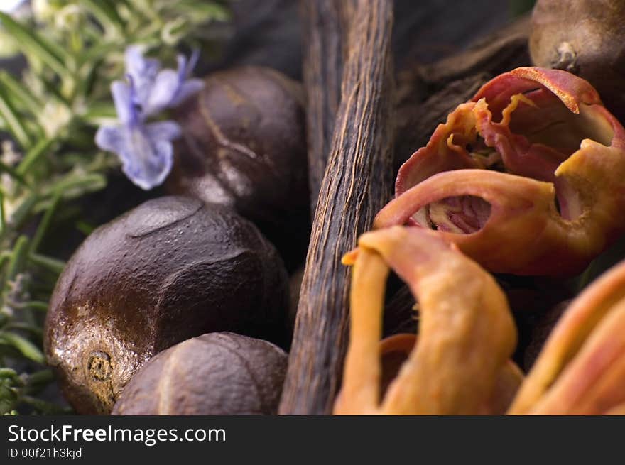 Herbs and spices. garlic, rosemary, vanilla, pepper, salt, cardamon, bay leaf. Herbs and spices. garlic, rosemary, vanilla, pepper, salt, cardamon, bay leaf