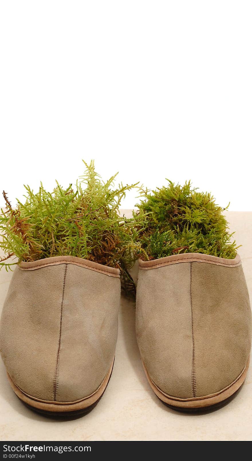 Slippers grow with red fresh grass