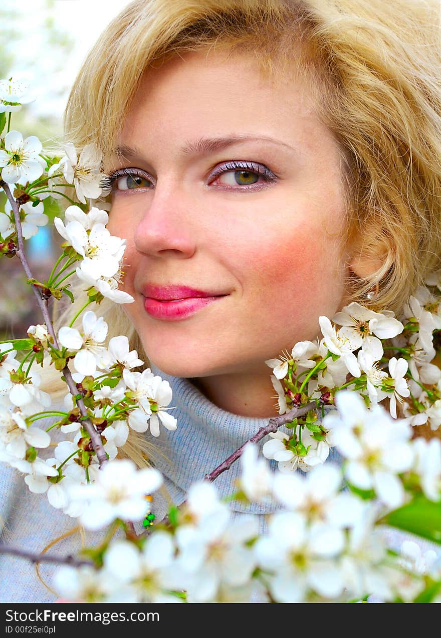 Beatiful girl among cherry flowers in bloom. Beatiful girl among cherry flowers in bloom