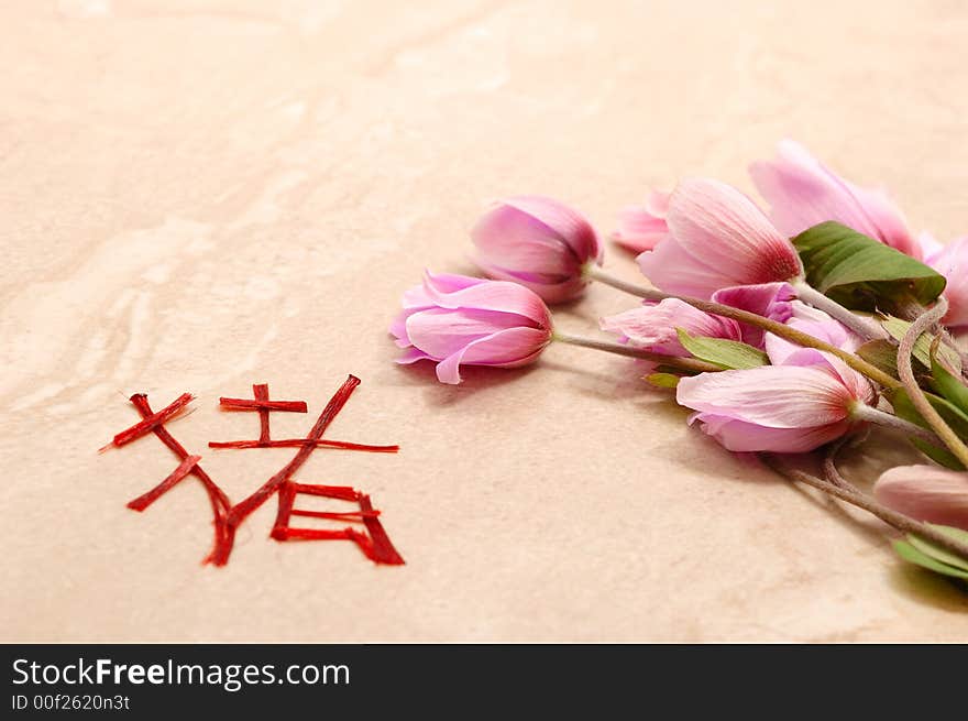 Love concept with anemones flowers and real wet hair for this pig new year  chinese symbol