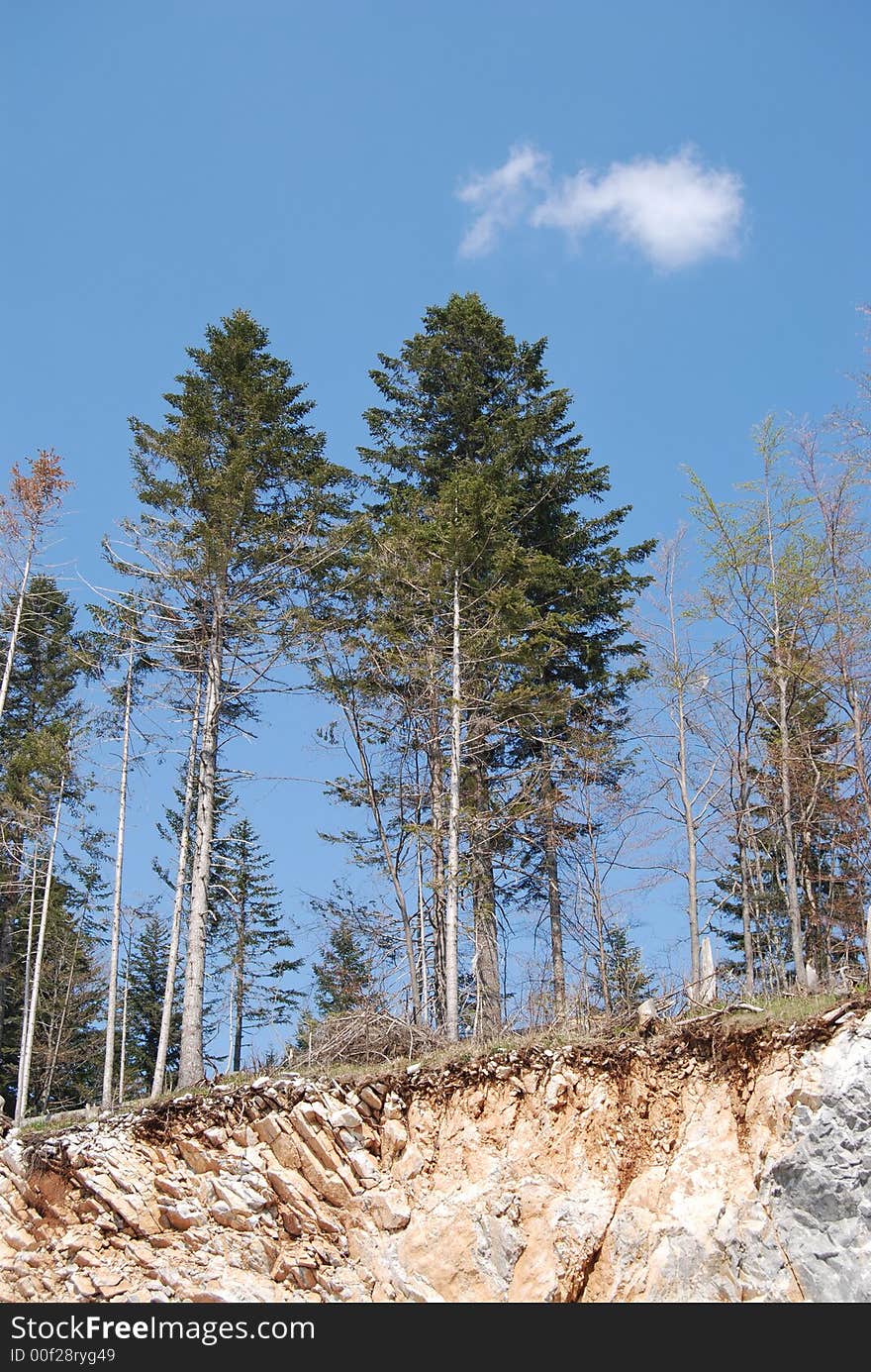 Blue sky trees and rocks. Blue sky trees and rocks