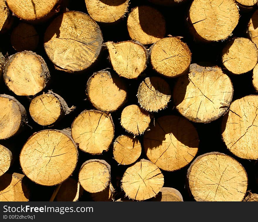 Pile of chop trees in a sun light good as a background. Pile of chop trees in a sun light good as a background