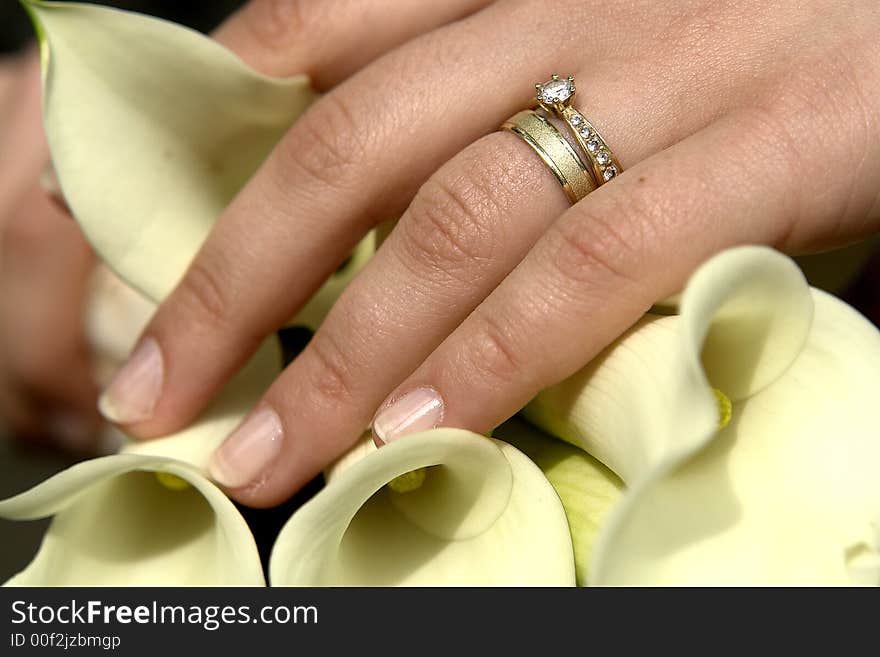 Wedding Rings 2