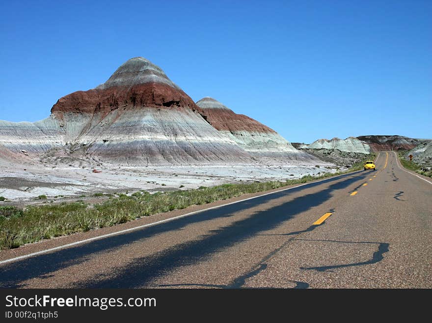 Petrified Forest