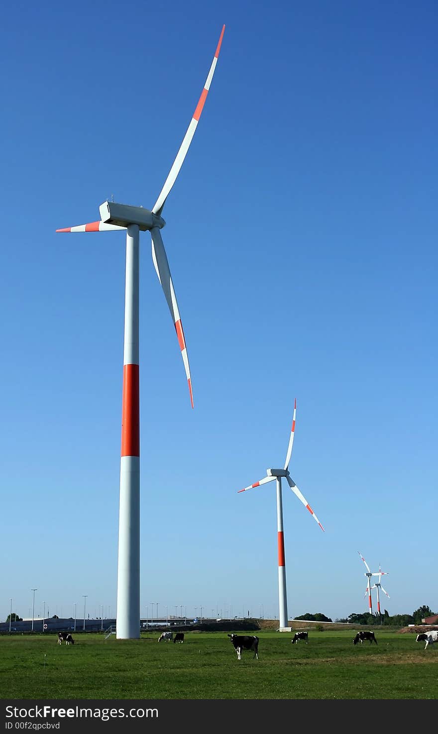 Several red/white colored windmills at a windfarm