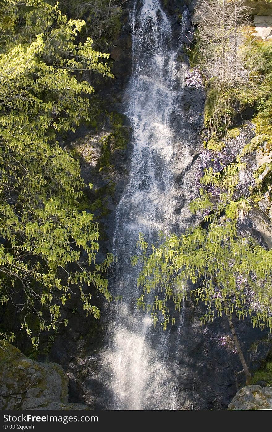 Small waterfall hidden in the trees, cascading down the rockface catching sunlight on its way. Small waterfall hidden in the trees, cascading down the rockface catching sunlight on its way